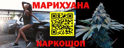шишки Дубна