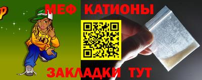 шишки Дубна