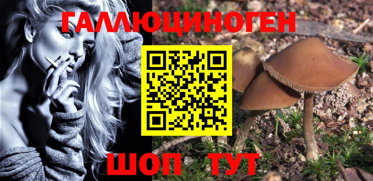 Малоярославец  Галлюциногенные грибы ЛСД  сколько стоит  Вход с VPN 