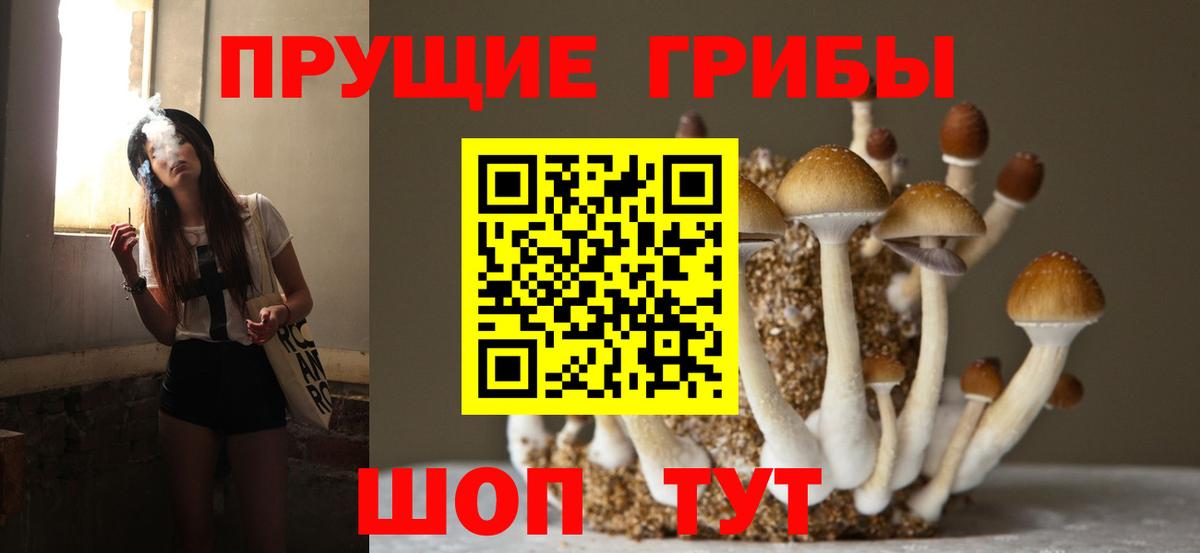 Псилоцибиновые грибы мицелий Малоярославец